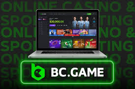 Unleashing Fun Exploring the World of BC Game