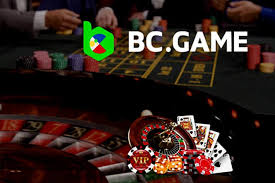 Understanding the Terms and Conditions of BC.Game -797886934