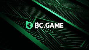 Understanding the Terms and Conditions of BC.Game -797886934
