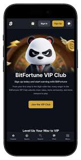 Bitfortune Guide for New Users Navigating the Digital Asset Casino